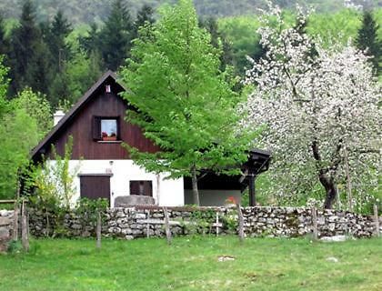 Pocitniska Hiska Jager Cezsoca Villa Exteriör bild