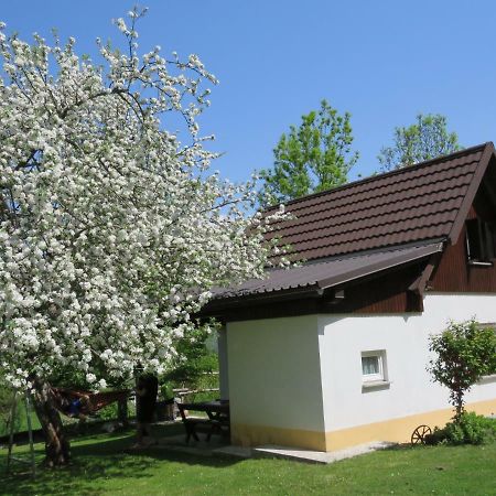 Pocitniska Hiska Jager Cezsoca Villa Exteriör bild