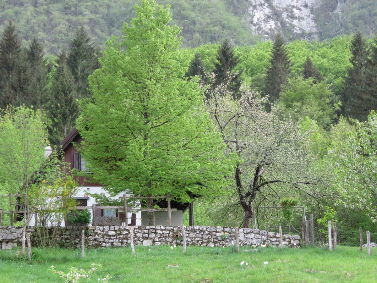 Pocitniska Hiska Jager Cezsoca Villa Exteriör bild